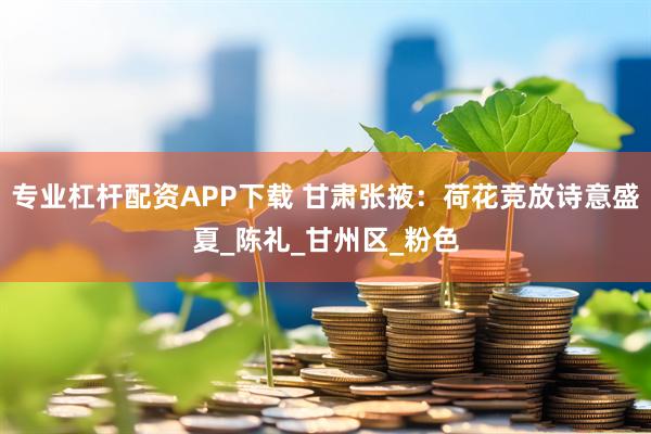 专业杠杆配资APP下载 甘肃张掖:荷花竞放诗意盛夏_陈礼_甘州区_粉色