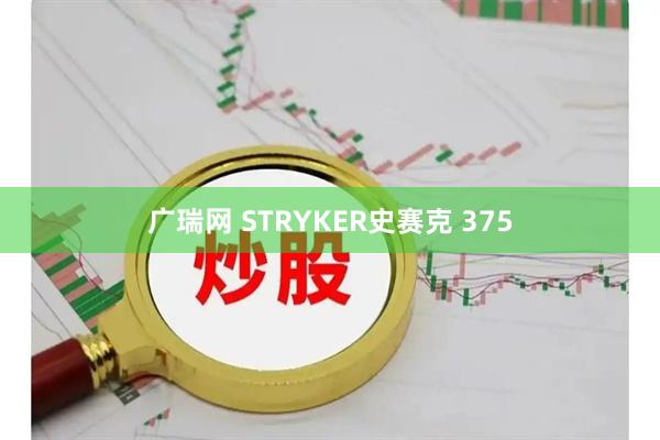 广瑞网 STRYKER史赛克 375